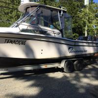 Boat vinyl
