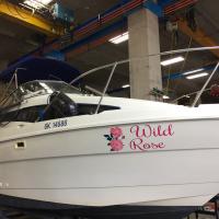 Boat Graphics
