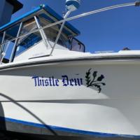thistle dew boat graphic